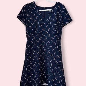 Loft Women's Work-dresses